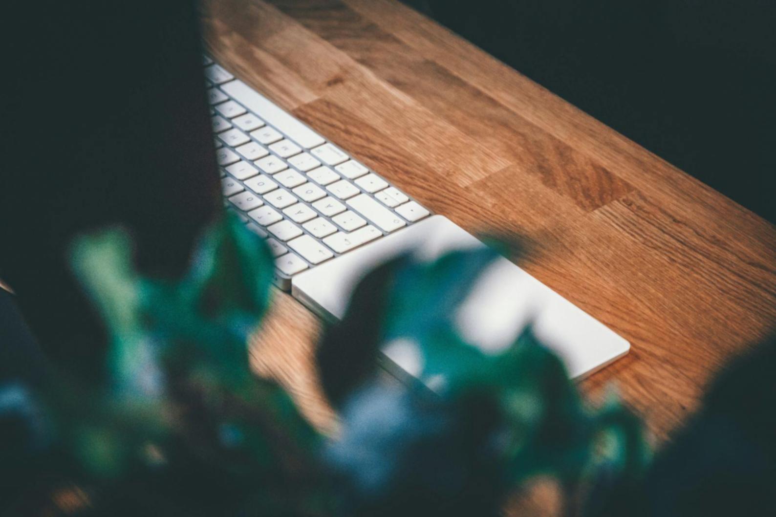 Environnement professionnel de travail collaboratif chez oribilithabera